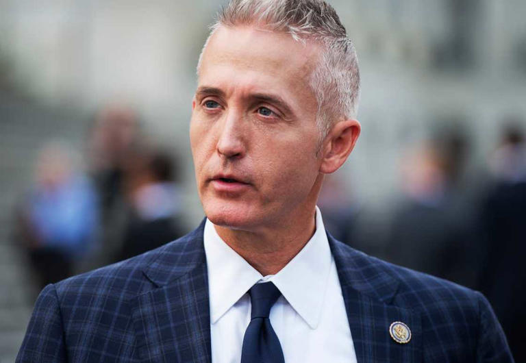 Trey Gowdy Car Accident