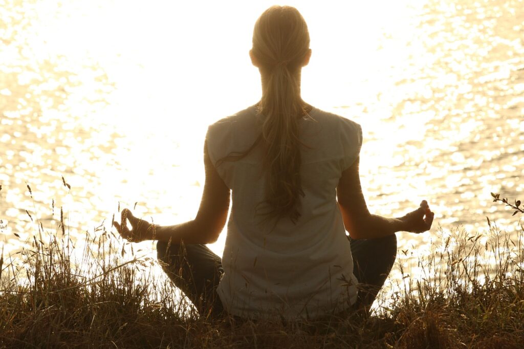 Meditation and Transmission